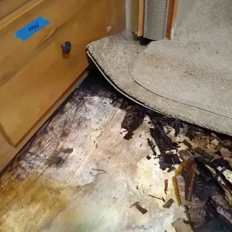 Wood Floor Water Damage in Ontario County, NY